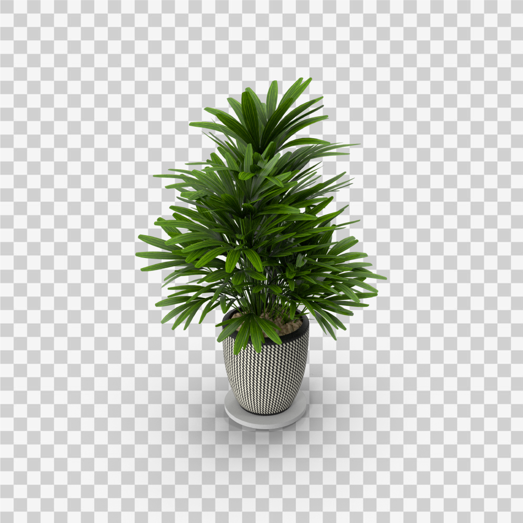 Background Removal After