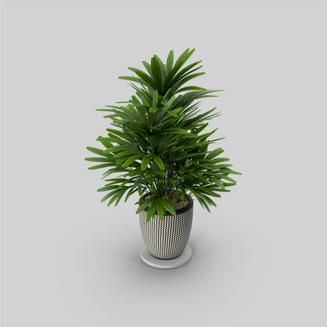 Background Removal Before